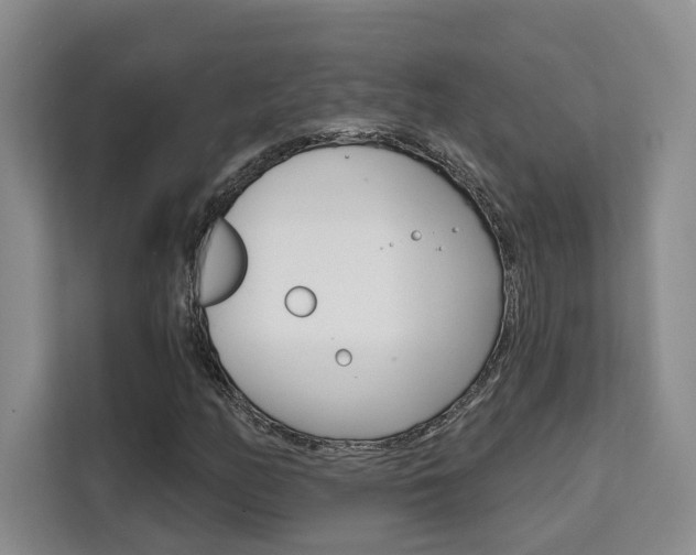 X0000111521158200907141230