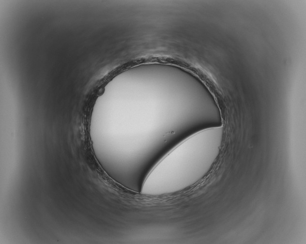 X0000111521159200907141230