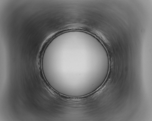 X0000111521164200907141230