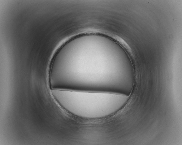 X0000111521183200907141230