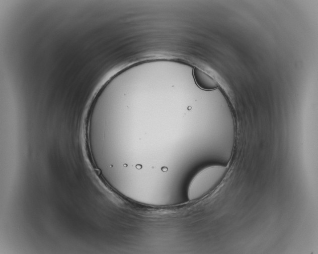 X0000111521187200907141230