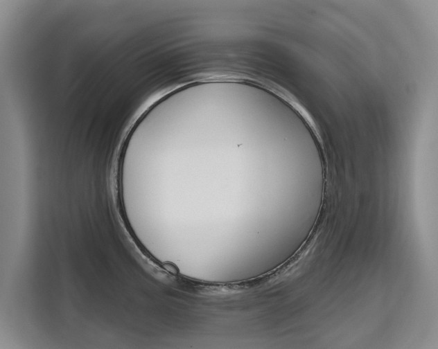 X0000111521195200907141230