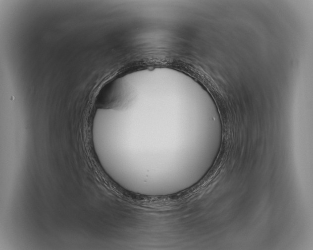 X0000111521201200907141229