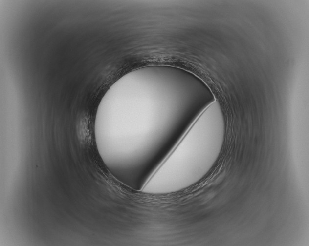 X0000111521202200907141229