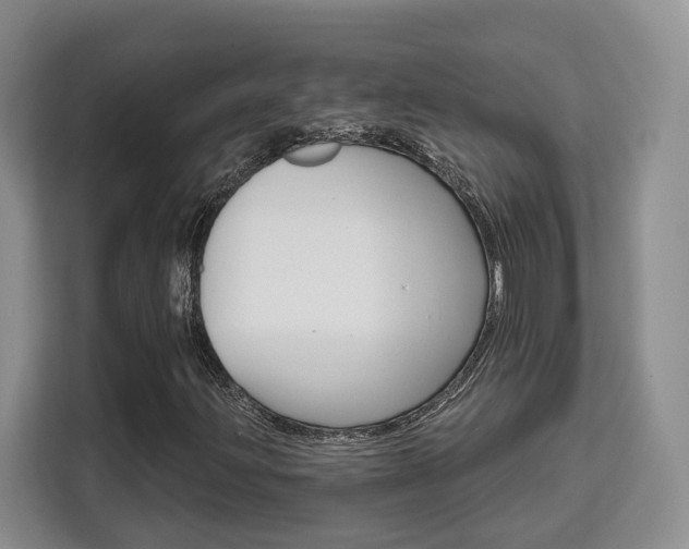 X0000111521203200907141229