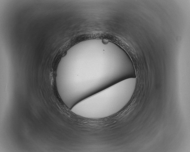 X0000111521204200907141229