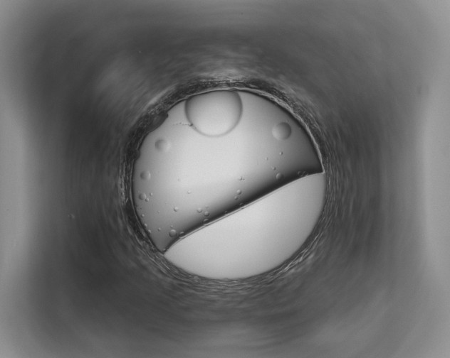 X0000111521205200907141229