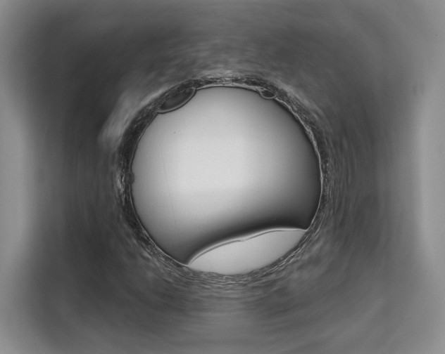 X0000111521206200907141229