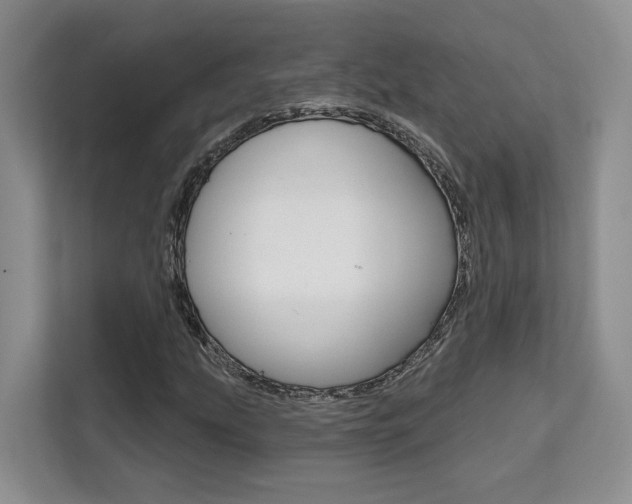 X0000111521207200907141229