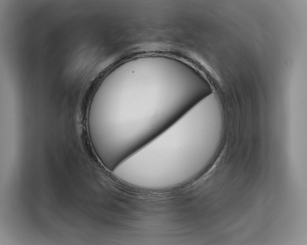 X0000111521213200907141229