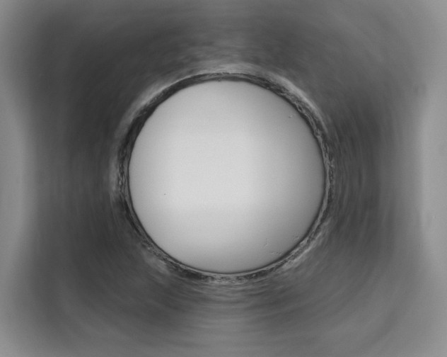 X0000111521215200907141229