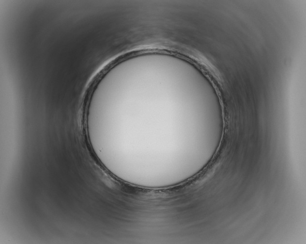 X0000111521216200907141229