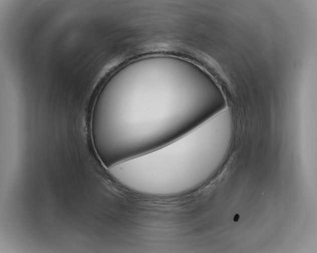 X0000111521218200907141229