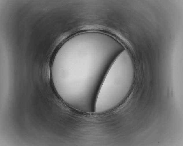 X0000111521221200907141229