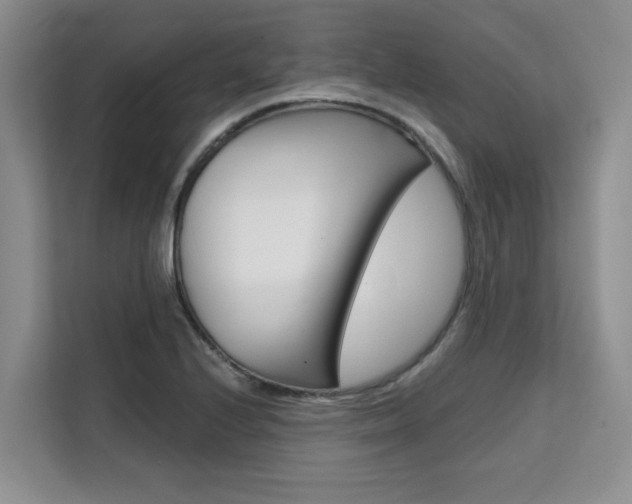 X0000111521224200907141229