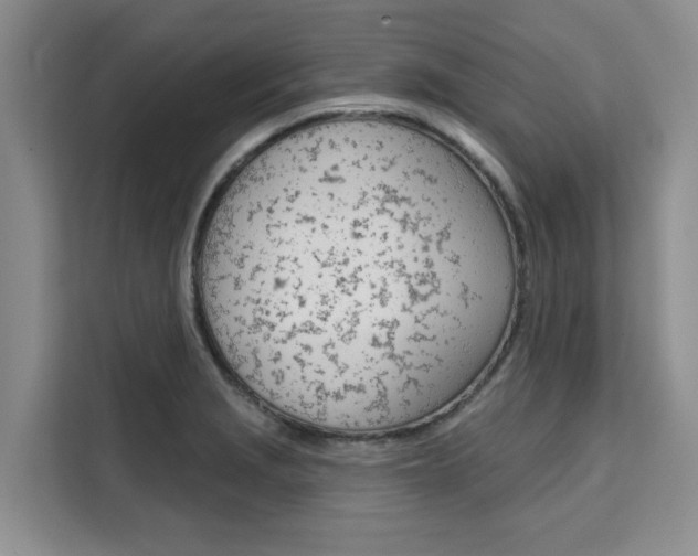 X0000111521229200907141230