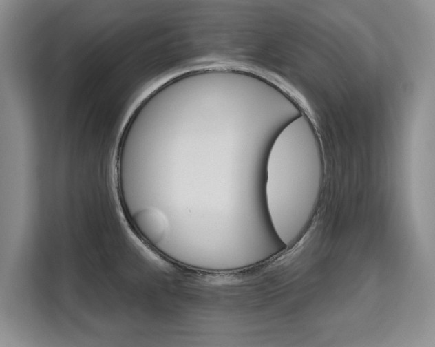 X0000111521239200907141230
