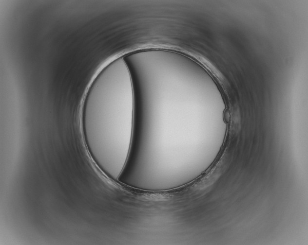 X0000111521246200907141230