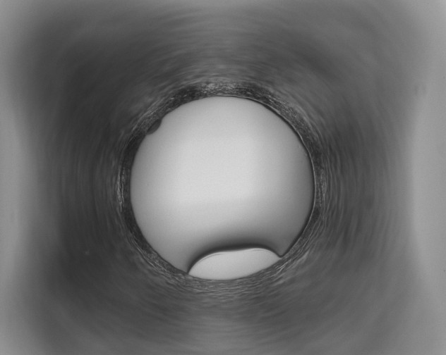 X0000111521250200907141229