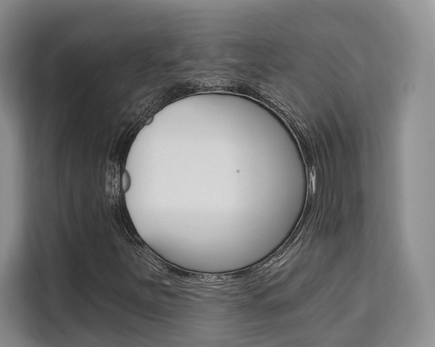 X0000111521251200907141229