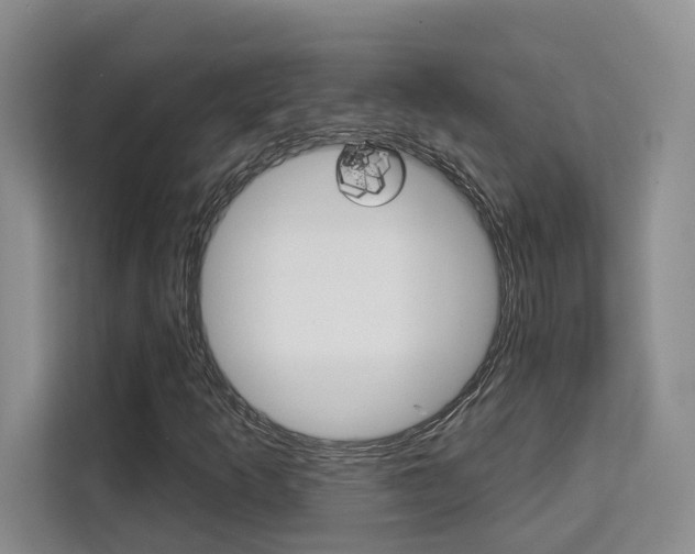 X0000111521253200907141229