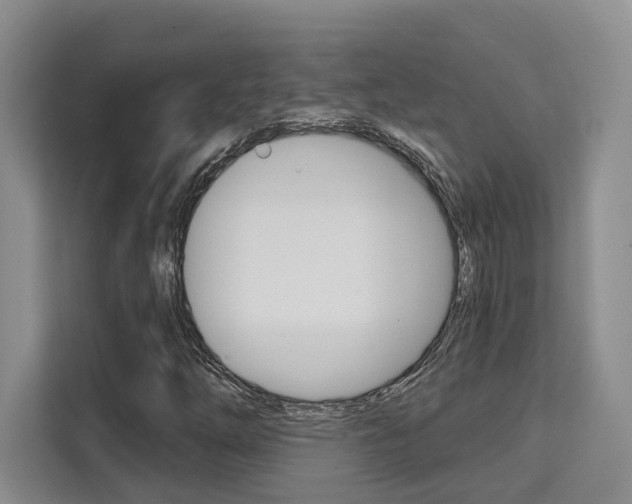 X0000111521254200907141229