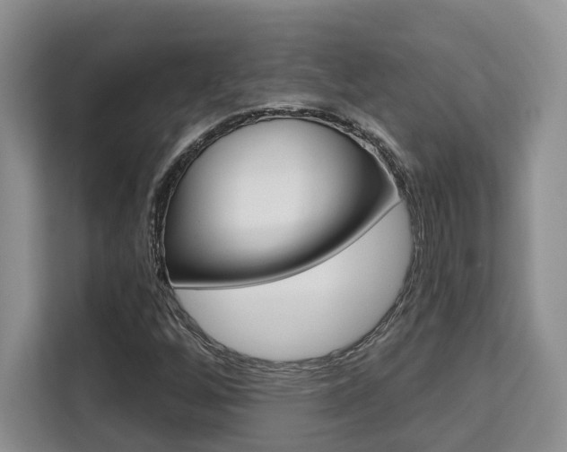 X0000111521256200907141229