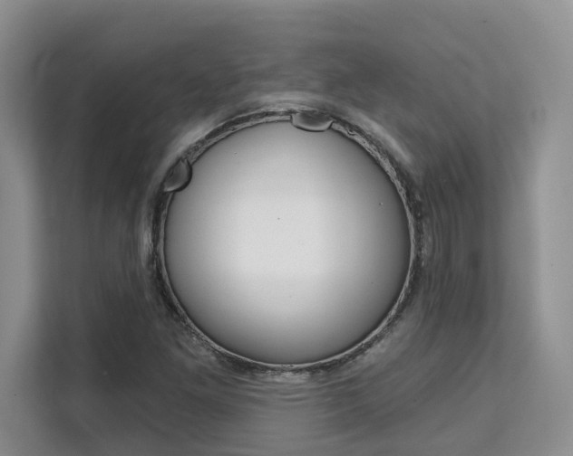 X0000111521261200907141229