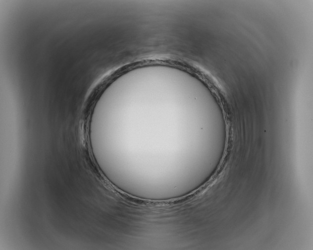 X0000111521262200907141229
