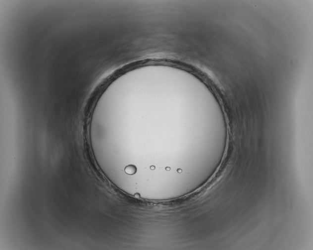 X0000111521263200907141229