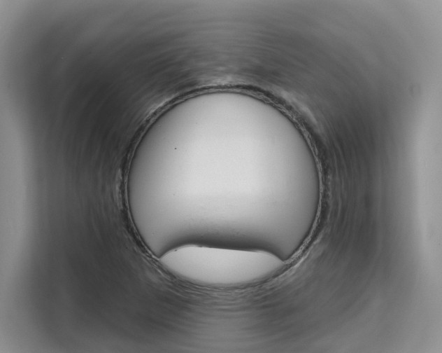 X0000111521265200907141229