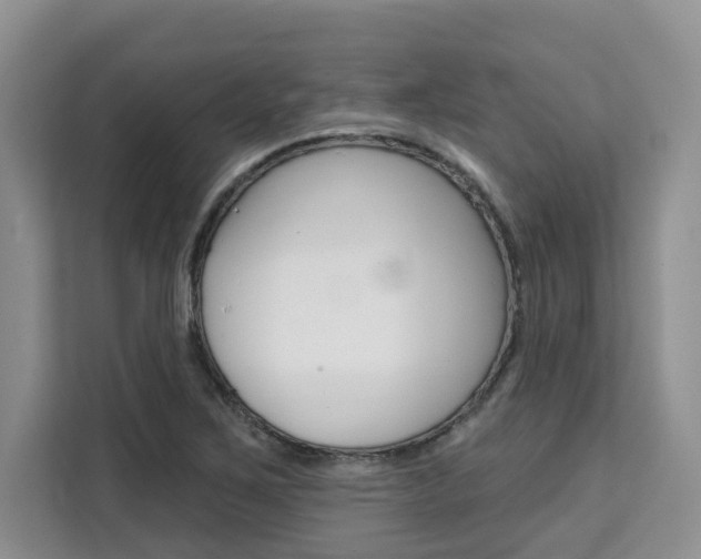 X0000111521267200907141229