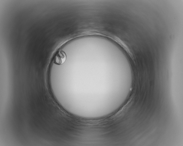 X0000111521269200907141229