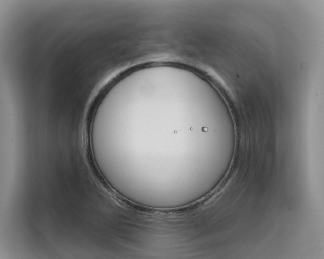 X0000111521270200907141229