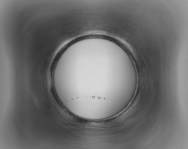 X0000111521271200907141229