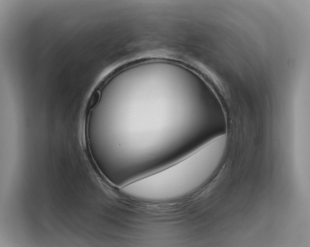 X0000111521272200907141229