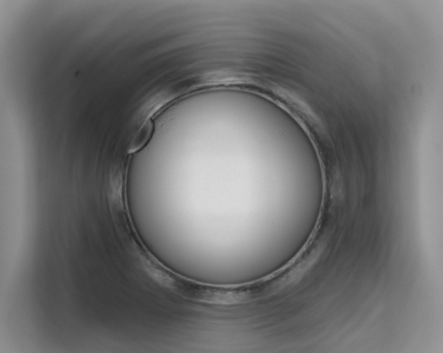 X0000111521273200907141229