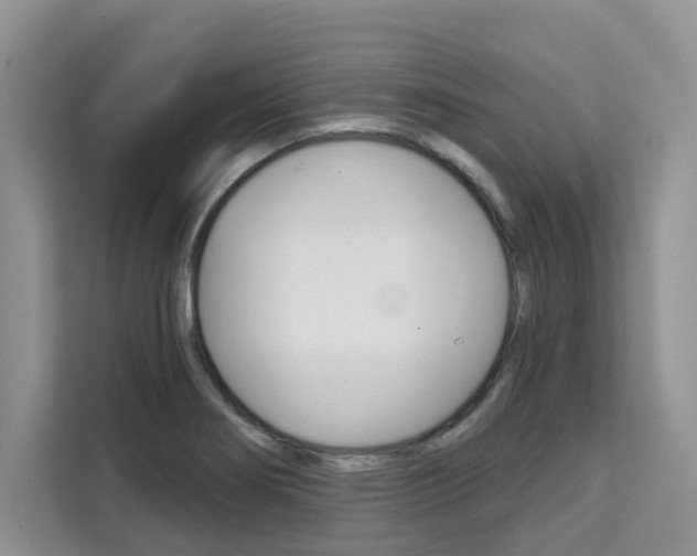 X0000111521274200907141229