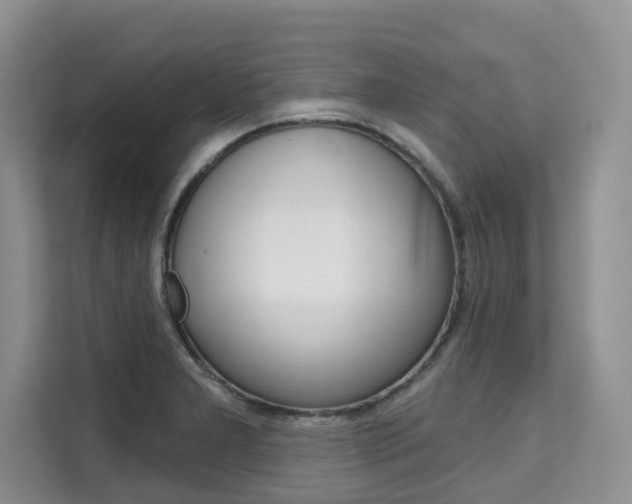 X0000111521277200907141229
