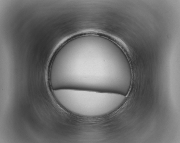 X0000111521279200907141229