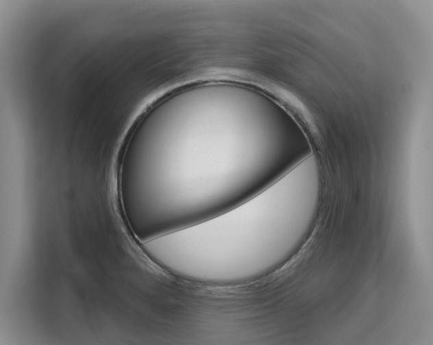 X0000111521280200907141229