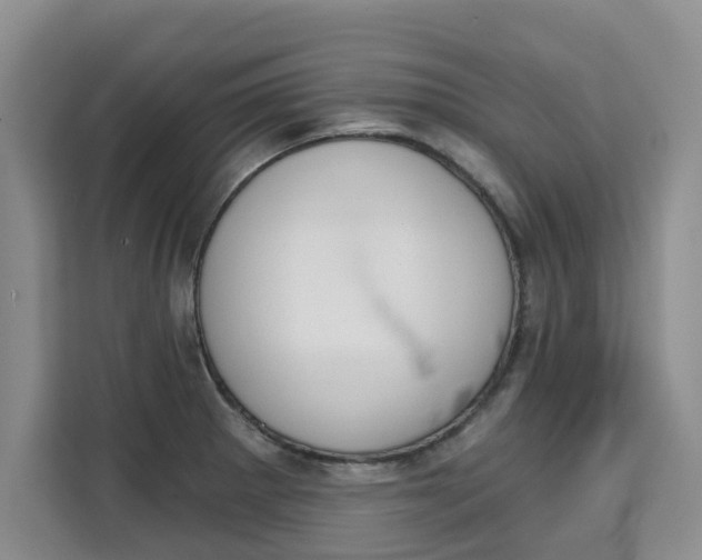 X0000111521281200907141229