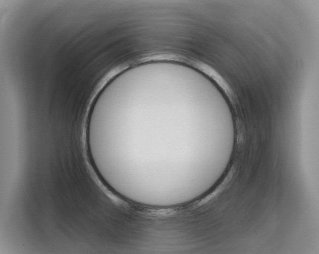 X0000111521282200907141229