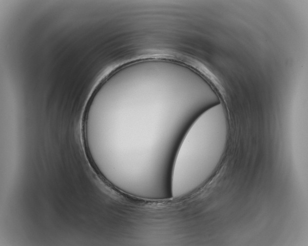 X0000111521283200907141229
