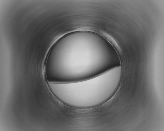 X0000111521284200907141229