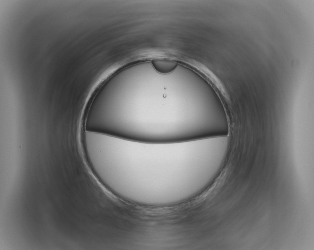 X0000111521285200907141229