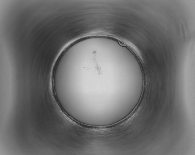 X0000111521288200907141229