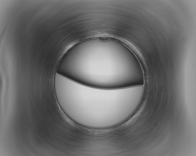 X0000111521289200907141229
