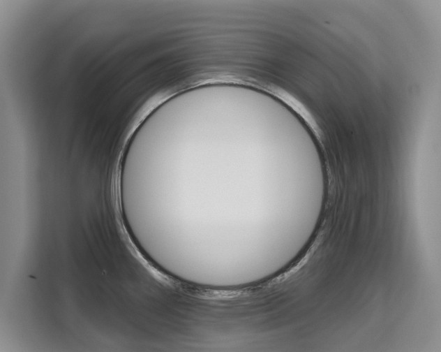 X0000111521290200907141229