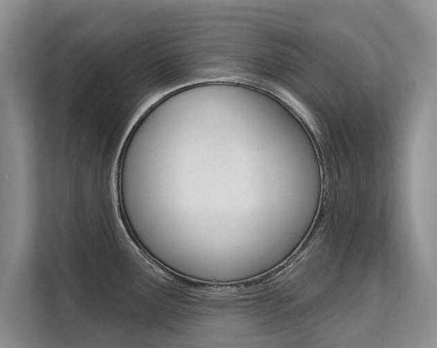 X0000111521291200907141229